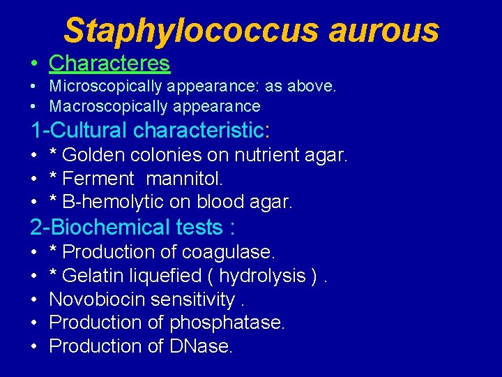 Staphylococcus aurous • Characteres • Microscopically appearance: as above. • Macroscopically appearance 1 -Cultural