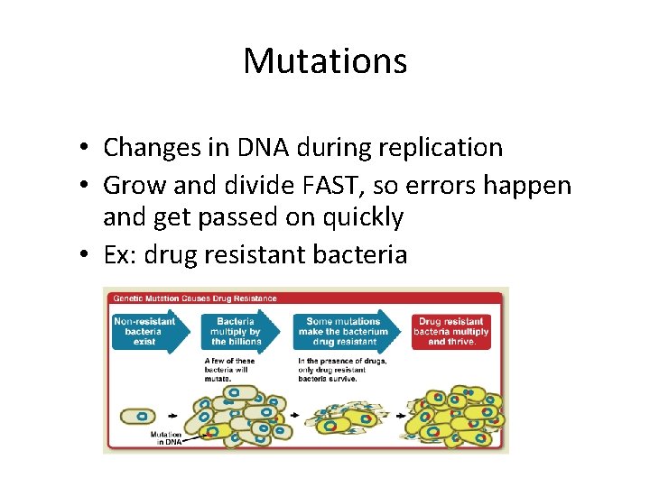 Mutations • Changes in DNA during replication • Grow and divide FAST, so errors