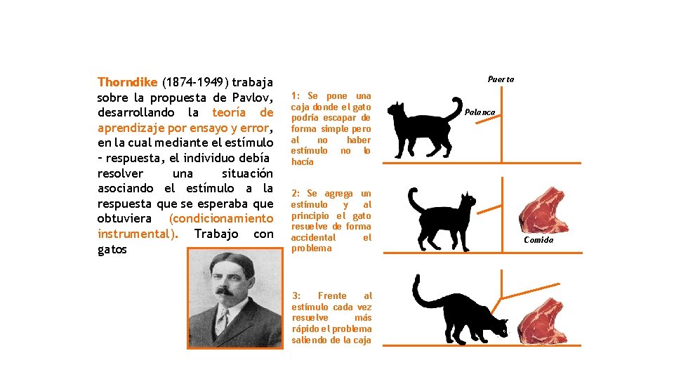 Thorndike (1874 -1949) trabaja sobre la propuesta de Pavlov, desarrollando la teoría de aprendizaje