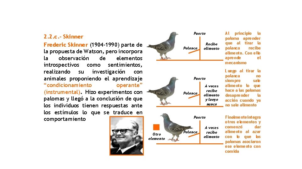 Puerta 2. 2. c. - Skinner Frederic Skinner (1904 -1990) parte de la propuesta