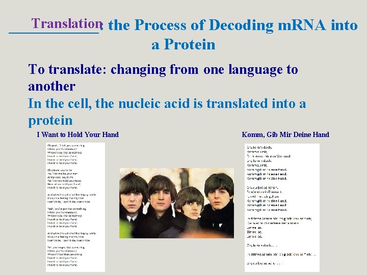 Translation the Process of Decoding m. RNA into ______: a Protein To translate: changing Translation the Process of Decoding m. RNA into ______: a Protein To translate: changing