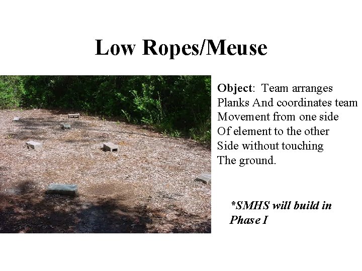 Low Ropes/Meuse Object: Team arranges Planks And coordinates team Movement from one side Of