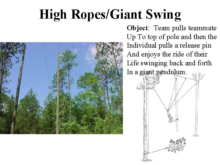 High Ropes/Giant Swing Object: Team pulls teammate Up To top of pole and then