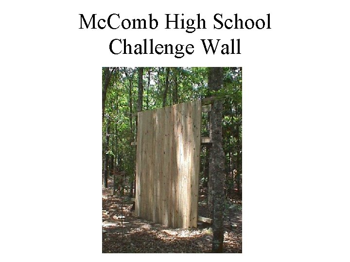 Mc. Comb High School Challenge Wall 