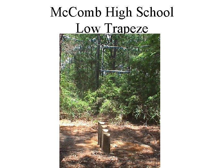Mc. Comb High School Low Trapeze 