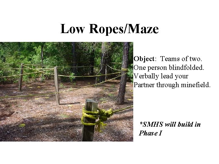 Low Ropes/Maze Object: Teams of two. One person blindfolded. Verbally lead your Partner through