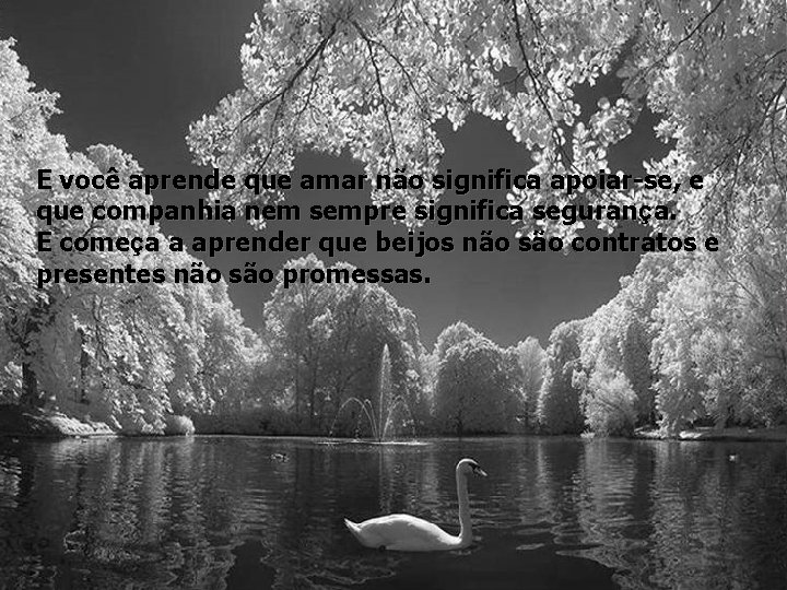 E você aprende que amar não significa apoiar-se, e que companhia nem sempre significa