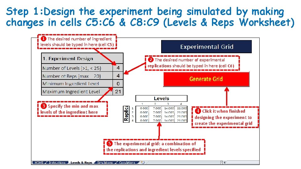 Step 1: Design the experiment being simulated by making changes in cells C 5: