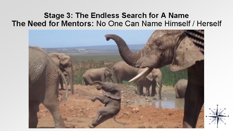 Stage 3: The Endless Search for A Name The Need for Mentors: No One