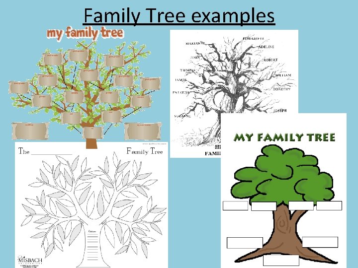 Family Tree examples 