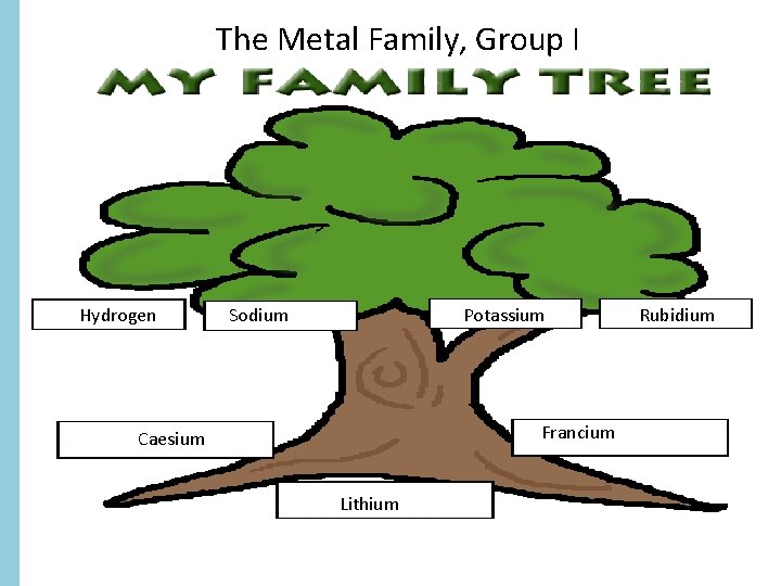 The Metal Family, Group I Hydrogen Sodium Potassium Francium Caesium Lithium Rubidium 
