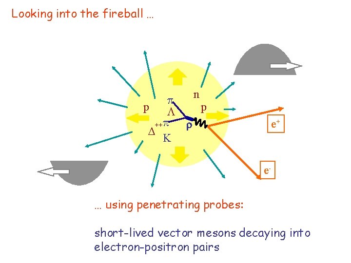 Looking into the fireball … n p p ++ K e+ e… using penetrating