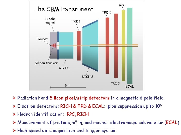 The CBM Experiment Radiation hard Silicon pixel/strip detectors in a magnetic dipole field Electron