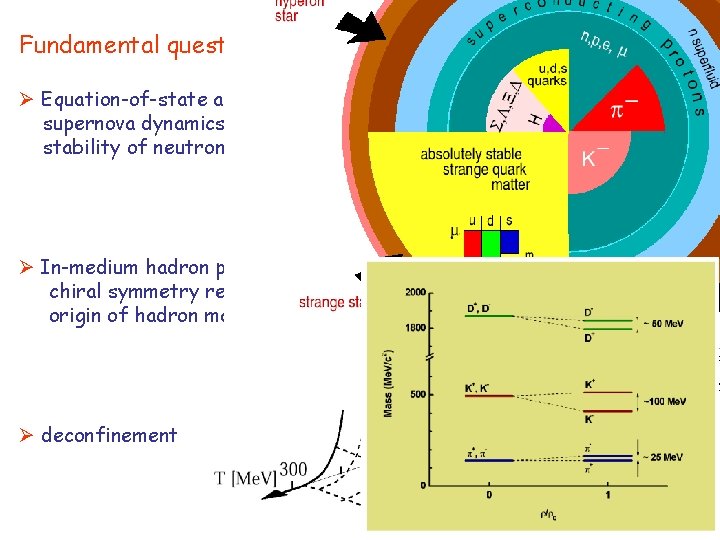 Fundamental questions: Equation-of-state at high densities: supernova dynamics, stability of neutron stars In-medium hadron