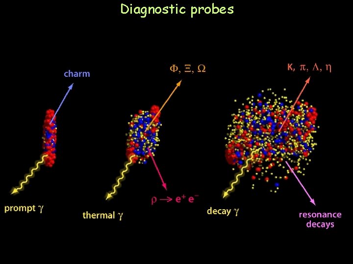 Diagnostic probes 