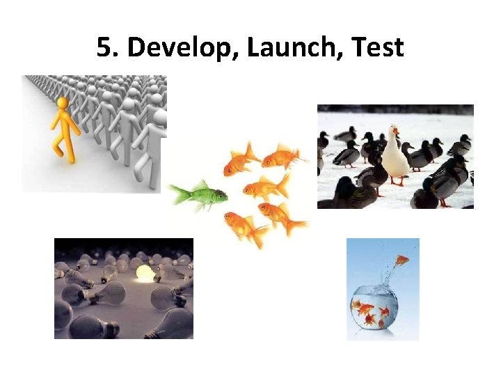 5. Develop, Launch, Test 