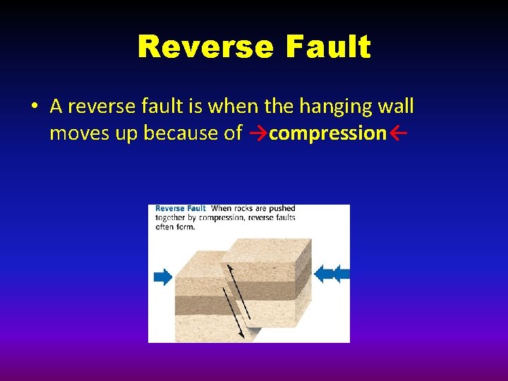 Reverse Fault • A reverse fault is when the hanging wall moves up because