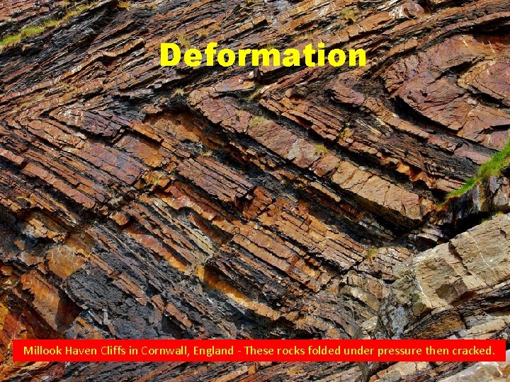Deformation Millook Haven Cliffs in Cornwall, England - These rocks folded under pressure then