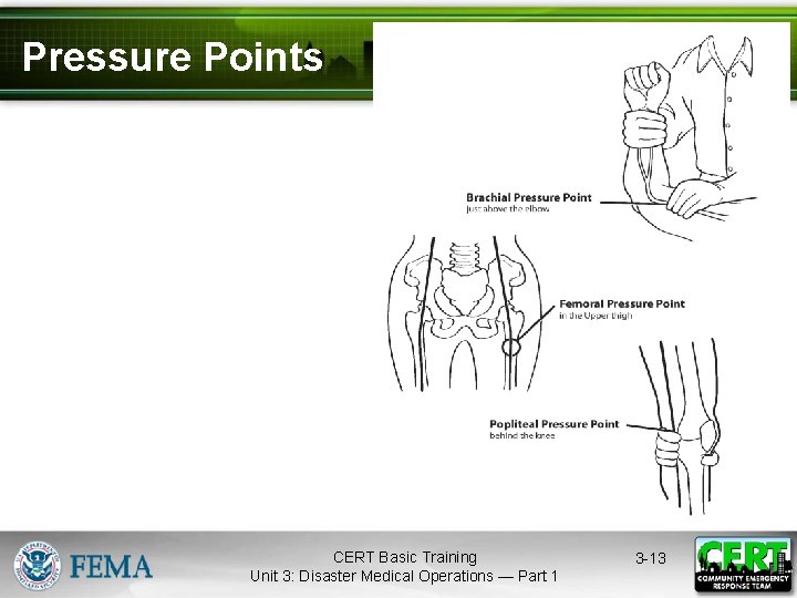 Pressure Points CERT Basic Training Unit 3: Disaster Medical Operations — Part 1 3