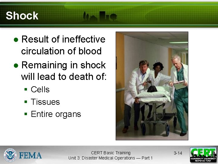 Shock ● Result of ineffective circulation of blood ● Remaining in shock will lead