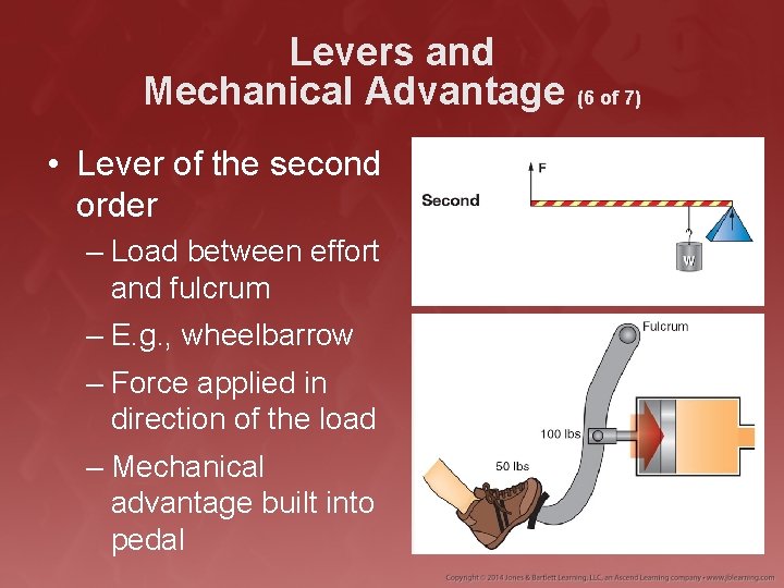 Levers and Mechanical Advantage (6 of 7) • Lever of the second order –