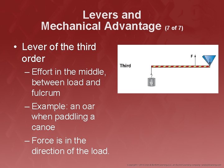 Levers and Mechanical Advantage (7 of 7) • Lever of the third order –