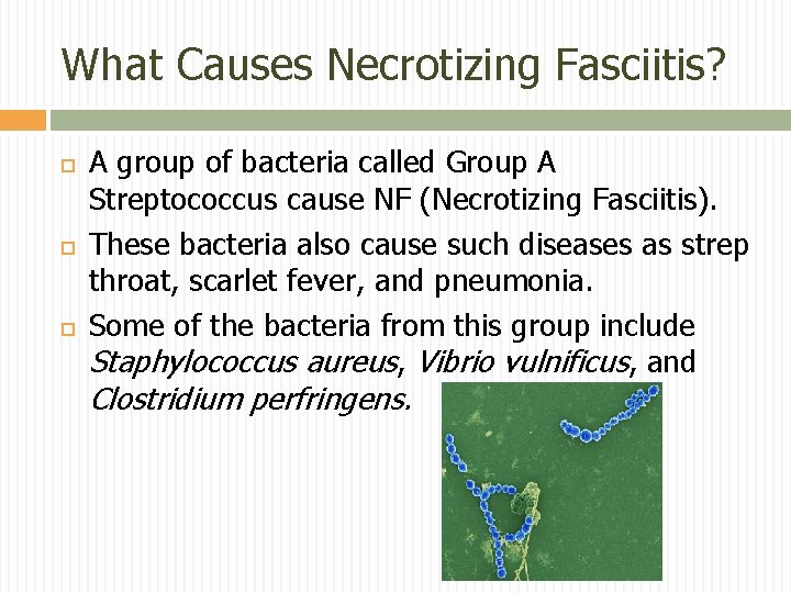 What Causes Necrotizing Fasciitis? A group of bacteria called Group A Streptococcus cause NF