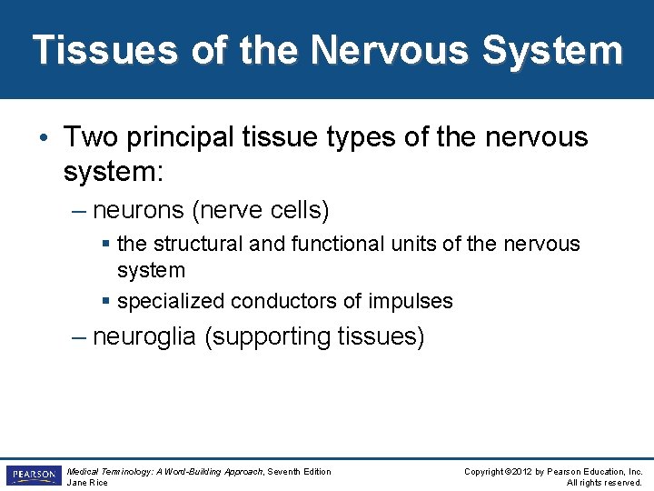 Tissues of the Nervous System • Two principal tissue types of the nervous system: Tissues of the Nervous System • Two principal tissue types of the nervous system: