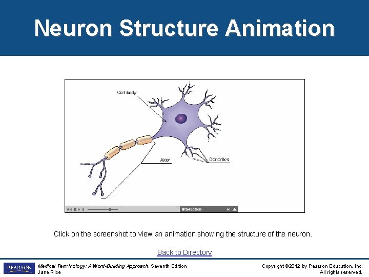 Neuron Structure Animation Click on the screenshot to view an animation showing the structure Neuron Structure Animation Click on the screenshot to view an animation showing the structure
