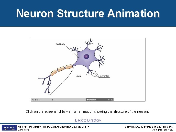 Neuron Structure Animation Click on the screenshot to view an animation showing the structure