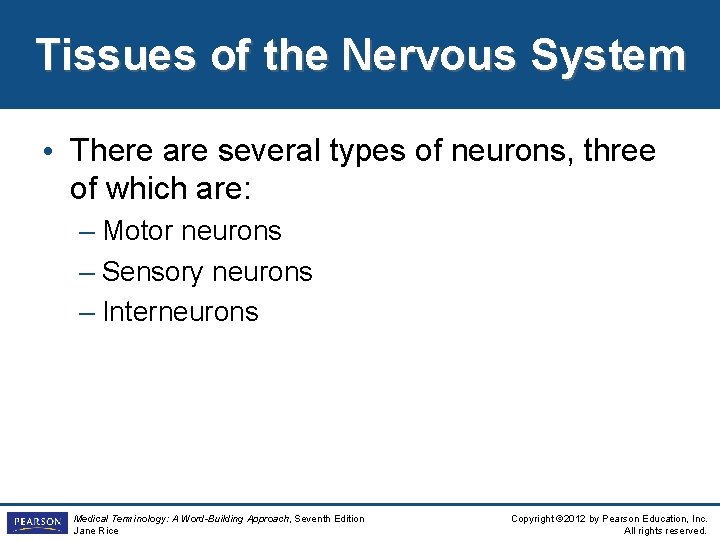 Tissues of the Nervous System • There are several types of neurons, three of