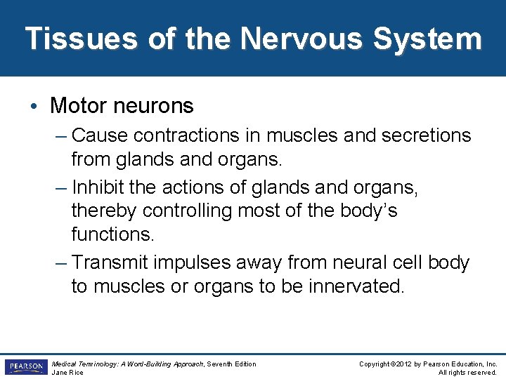 Tissues of the Nervous System • Motor neurons – Cause contractions in muscles and