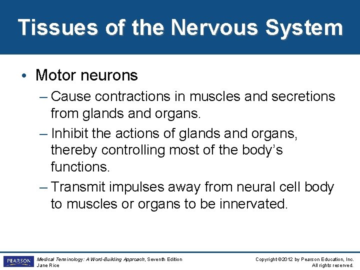 Tissues of the Nervous System • Motor neurons – Cause contractions in muscles and Tissues of the Nervous System • Motor neurons – Cause contractions in muscles and