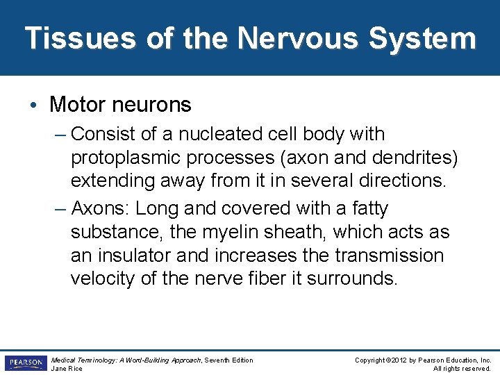 Tissues of the Nervous System • Motor neurons – Consist of a nucleated cell