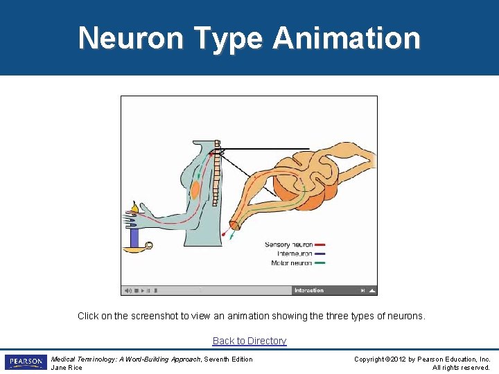 Neuron Type Animation Click on the screenshot to view an animation showing the three Neuron Type Animation Click on the screenshot to view an animation showing the three