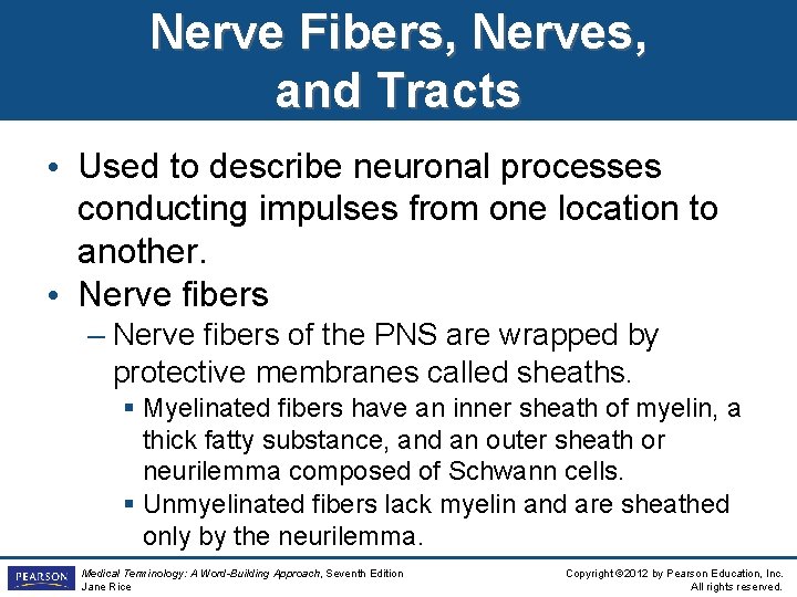 Nerve Fibers, Nerves, and Tracts • Used to describe neuronal processes conducting impulses from