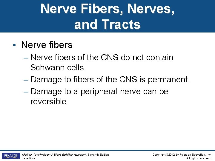 Nerve Fibers, Nerves, and Tracts • Nerve fibers – Nerve fibers of the CNS