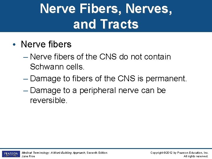 Nerve Fibers, Nerves, and Tracts • Nerve fibers – Nerve fibers of the CNS Nerve Fibers, Nerves, and Tracts • Nerve fibers – Nerve fibers of the CNS