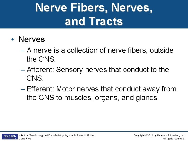 Nerve Fibers, Nerves, and Tracts • Nerves – A nerve is a collection of Nerve Fibers, Nerves, and Tracts • Nerves – A nerve is a collection of