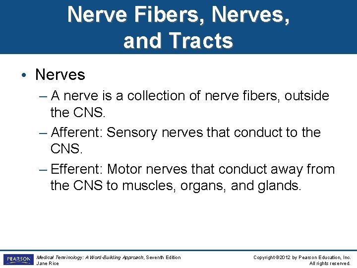 Nerve Fibers, Nerves, and Tracts • Nerves – A nerve is a collection of