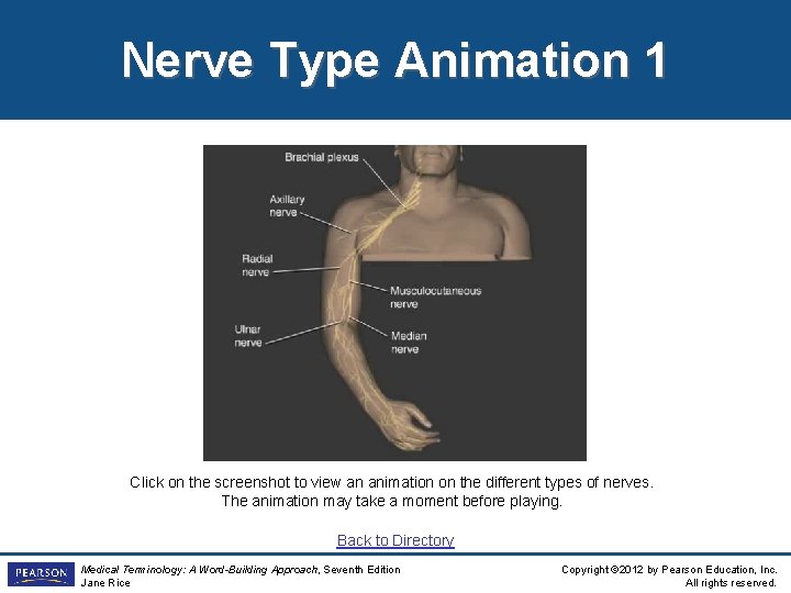 Nerve Type Animation 1 Click on the screenshot to view an animation on the