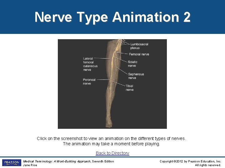 Nerve Type Animation 2 Click on the screenshot to view an animation on the Nerve Type Animation 2 Click on the screenshot to view an animation on the