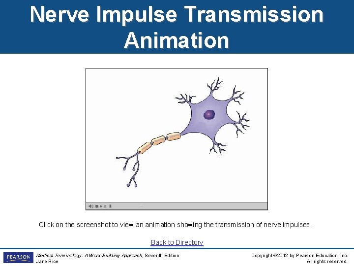 Nerve Impulse Transmission Animation Click on the screenshot to view an animation showing the Nerve Impulse Transmission Animation Click on the screenshot to view an animation showing the