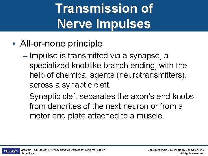 Transmission of Nerve Impulses • All-or-none principle – Impulse is transmitted via a synapse,