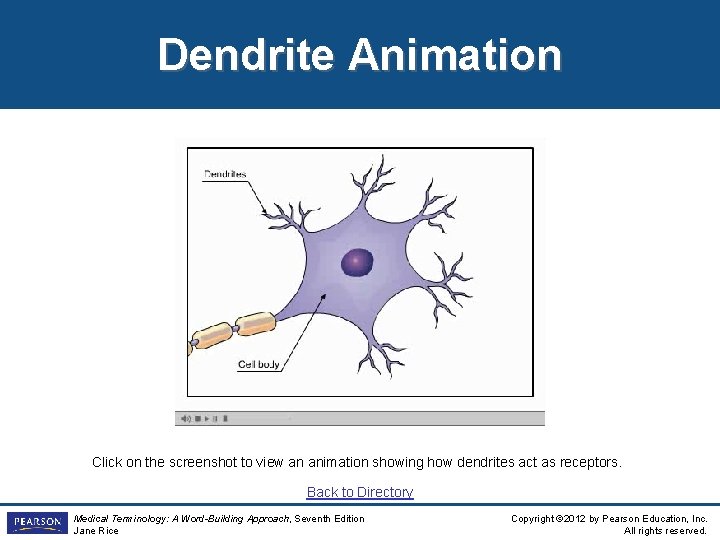 Dendrite Animation Click on the screenshot to view an animation showing how dendrites act Dendrite Animation Click on the screenshot to view an animation showing how dendrites act