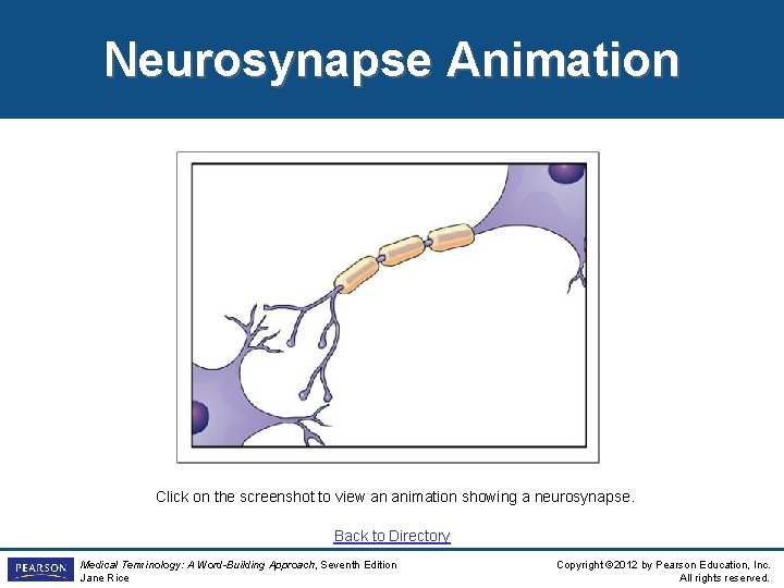 Neurosynapse Animation Click on the screenshot to view an animation showing a neurosynapse. Back Neurosynapse Animation Click on the screenshot to view an animation showing a neurosynapse. Back