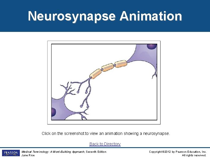 Neurosynapse Animation Click on the screenshot to view an animation showing a neurosynapse. Back