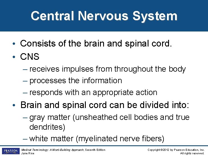 Central Nervous System • Consists of the brain and spinal cord. • CNS – Central Nervous System • Consists of the brain and spinal cord. • CNS –
