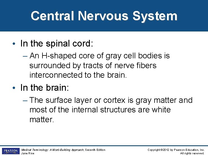 Central Nervous System • In the spinal cord: – An H-shaped core of gray Central Nervous System • In the spinal cord: – An H-shaped core of gray