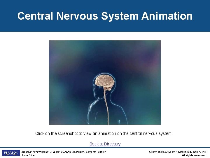Central Nervous System Animation Click on the screenshot to view an animation on the Central Nervous System Animation Click on the screenshot to view an animation on the